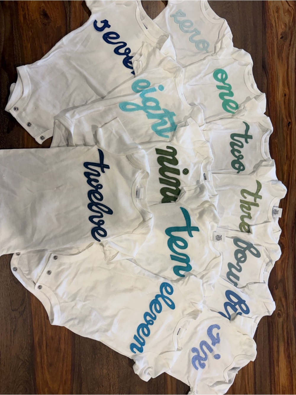 Baby monthly milestone onesies
